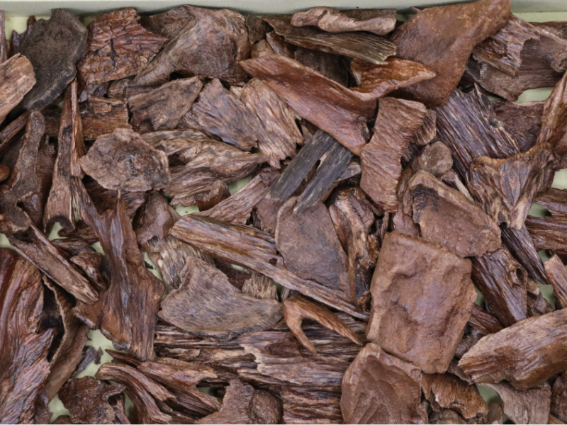 Malaysian Oud - Wild